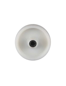 Wheel IN REINFORCED NYLON DIAMETER 100 MM LOAD 100 KG AXLE 12 MM AND Bearing WITH ROLLERS- S2450 100/37 LM46 RR12