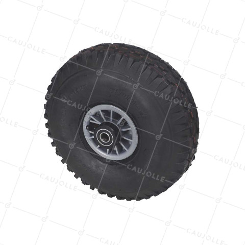 Wheel DE Hand truck INFLATED DIAMETER 300 MM LOAD 150KG HIGH DURABILITY - S2700P 300/100 R BALLS 15 PREMIUM • Caujolle
